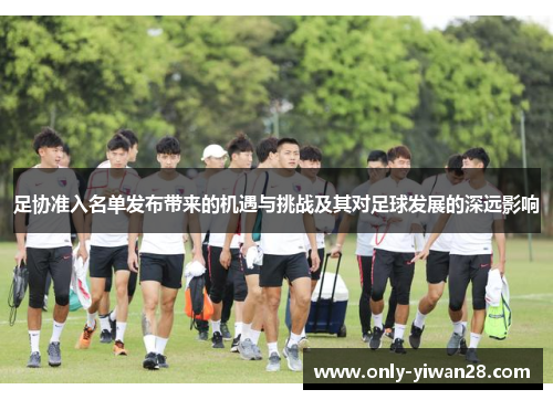 足协准入名单发布带来的机遇与挑战及其对足球发展的深远影响